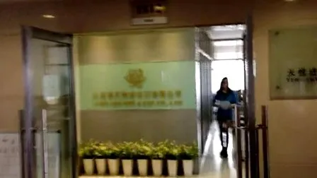 Filo da ricamo 100% poliestere120d/2, 150d/2 5000y